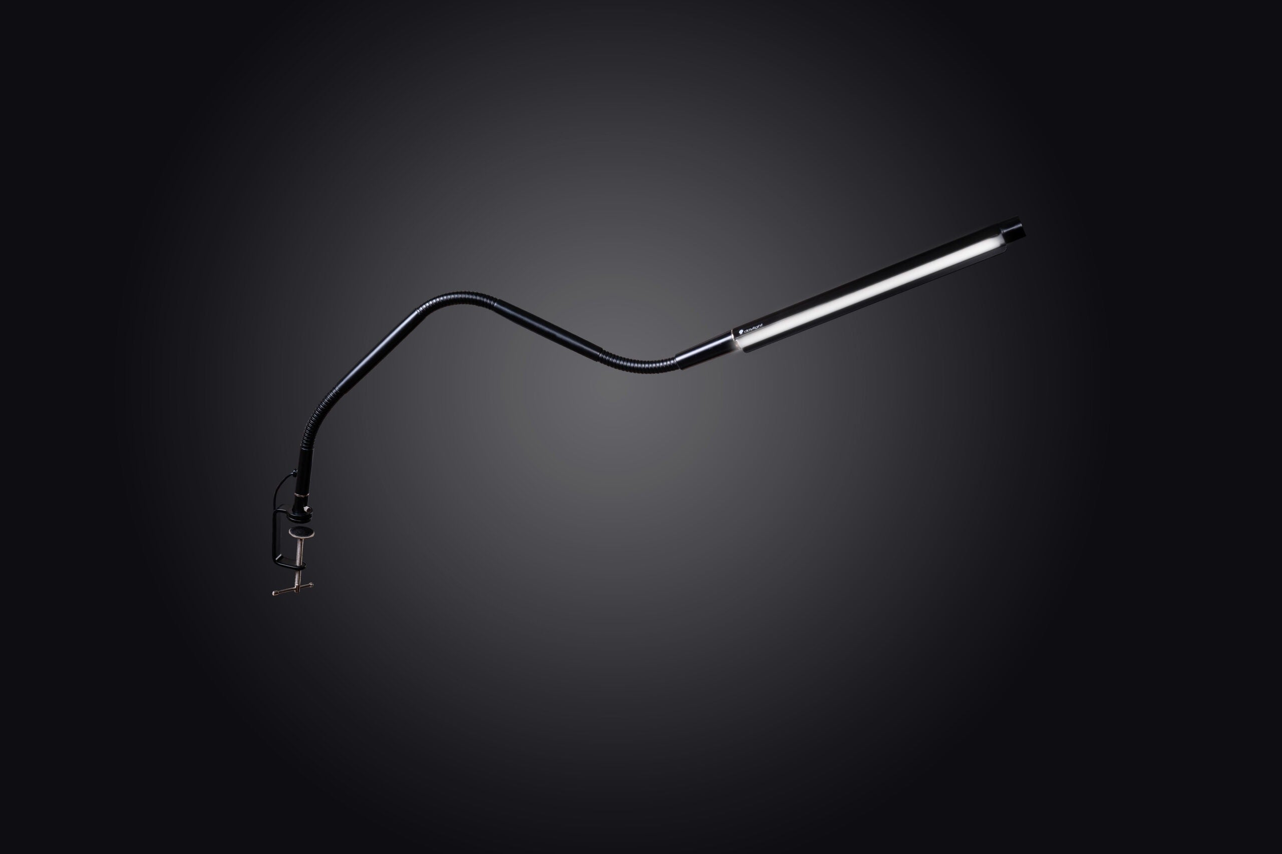 Electra beauty lamp with flex arm